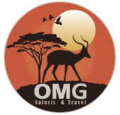 OMG Safari & Travel